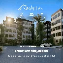 Stone  (34).webp